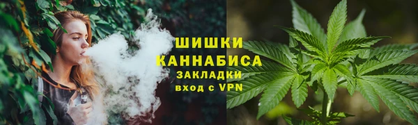 амф Алзамай