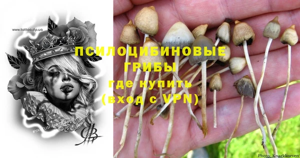 героин Алексин