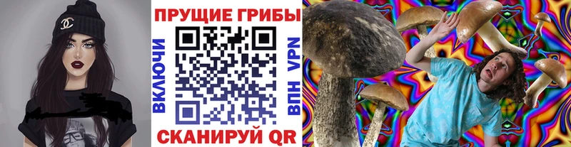 Псилоцибиновые грибы GOLDEN TEACHER  как найти закладки  ОМГ ОМГ tor  Нефтекумск 
